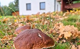 Klid na kraji lesa - celý dům, Česká Kanada